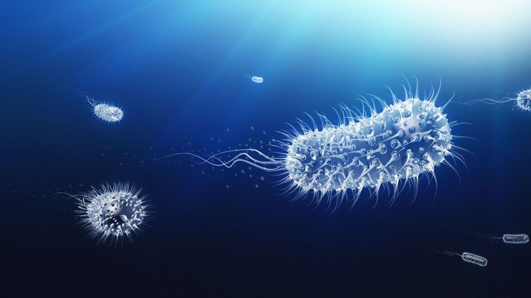 إكتشاف بكتيريا في أعماق البحار غير مرئية لأنظمتنا المناعية  112112