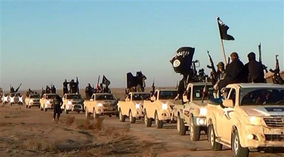 مقتل جنود ماليين على أيدي تنظيم "داعش" 112112