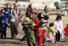​الأمم المتحدة: أخذ بصمة العين للنازحين لتوزيع المساعدات-النبطية 112112