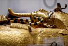 توت عنخ آمون لم يُنقل إلى المتحف، عالمة روسية تشرح السبب 112112