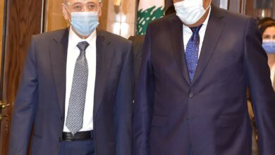 شكري بعد لقاء بري: تشرفت بلقاءه ونقلت له تحيات الرئيس السيسي 112112