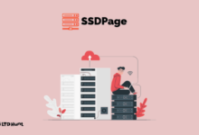 خدمة (SSDPage) لحماية موقعك من جميع أنواع الهجمات الإلكترونية 112112