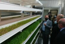 مرتضى: كلفة فاتورة استيراد الأعلاف ستصبح مضاعفة لأكثر من عشرة أضعاف 112112