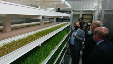 مرتضى: كلفة فاتورة استيراد الأعلاف ستصبح مضاعفة لأكثر من عشرة أضعاف 112112