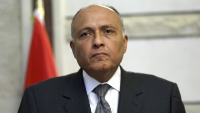 أول تعليق لشكري عقب اتصال نظيره أوغلو: عدم التدخل في الشؤون الداخلية 112112