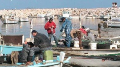 عكار: إصطياد سمكة “تونا” كبيرة وبيعها بحوالي الـ 3 ملايين ليرة 112112