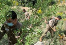 ‏الجيش اللبناني