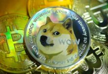 إنخفاض قيمة عملة Dogecoin بشكل حاد اليوم الأحد 112112