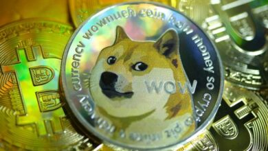 إنخفاض قيمة عملة Dogecoin بشكل حاد اليوم الأحد 112112