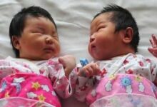 قرارٌ جديد بخصوص الإنجاب في الصين 112112