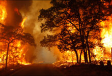 اليونان: إخلاء 6 قرى بسبب حرائق الغابات 112112