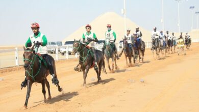 سباق الخيول العربية الأصيلة على الحدود السورية العراقية 112112