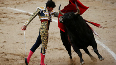 مدريد تستأنف مباريات مصارعة الثيران للمرة الأولى بعد الجائحة 112112