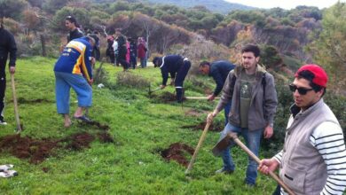 زحلة تُطلق حملة تشجير مع بعض المناطق البقاعية 112112