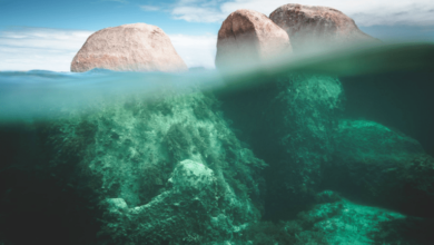 سيلٌ من المواد المتطايرة من انفجارات السوبرنوفا يصل إلى سطح الأرض بشكل دوري 112112