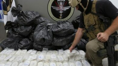 إحباط محاولة تهريب كمية كبيرة من حشيشة الكيف في مرفأ صيدا.. وجهتها مصر 112112