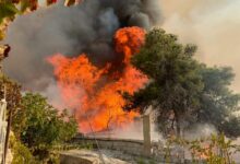 حريق شبّ في أعشاب وأشجار في زحلة 112112