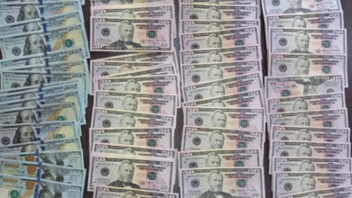 مفرزة استقصاء الجنوب في النبطية تقبض على شبكة ترويج دولارات مزيّفة 112112