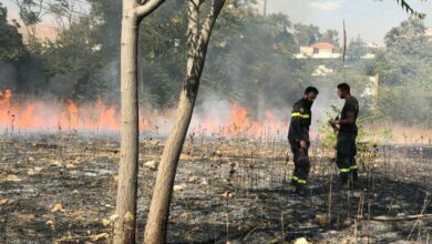 حريق شبّ في أعشاب و أشجار في شتورا 112112