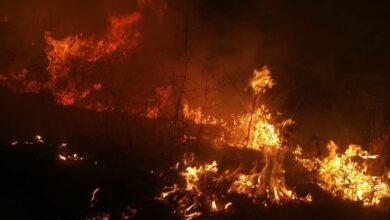 حريق شبّ في أعشاب في السمقانية-الشوف 112112