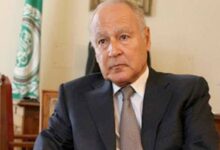أبو الغيط يُبين أهمية التصريح العسكري الأمريكي الأخير بشأن سد النهضة
