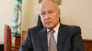 أبو الغيط يُبين أهمية التصريح العسكري الأمريكي الأخير بشأن سد النهضة