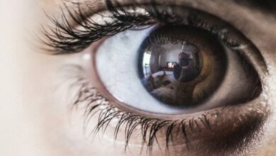 معهد جورجيا للتكنولوجيا: كلما زاد حجم البؤبؤ زاد الذكاء 112112