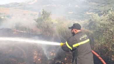 حريق أعشاب في عين الريحانة 112112
