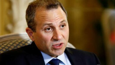 باسيل استقبل في دارته سفيرة فرنسا آن غريو 112112