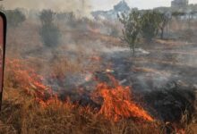 حريق شبّ في أعشاب في الفرزل 112112