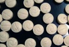 بطريقة إحترافية خبّؤوا كمية كبيرة من حبوب الكبتاغون لتهريبها الى السعودية 112112