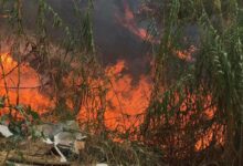 حريق شبّ في أعشاب بمحاذاة أوتوستراد زحلة 112112