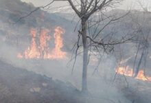 حريق أعشاب ونفايات في كفردبيان 112112