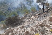 إخماد حريق أعشاب واشجار في بعقلين 112112