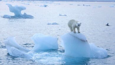 علماء: جليد القطب الشمالي يذوب بوتيرة أسرع مرتين 112112