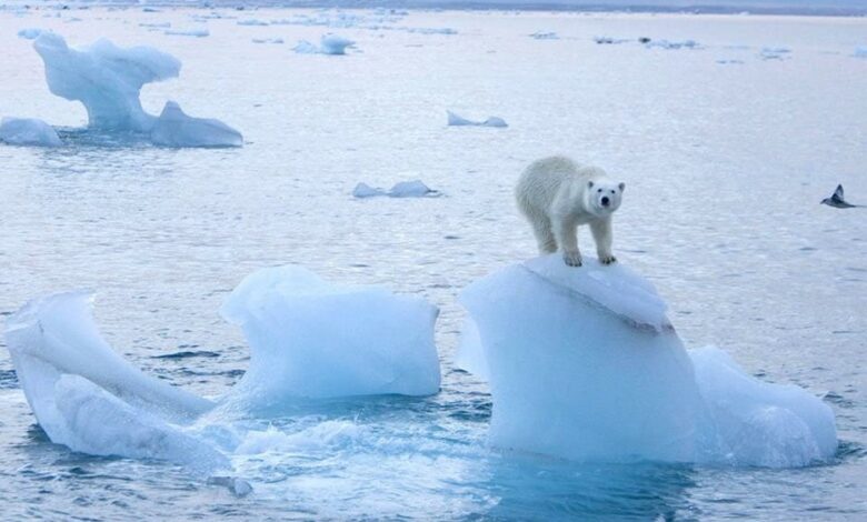 علماء: جليد القطب الشمالي يذوب بوتيرة أسرع مرتين 112112