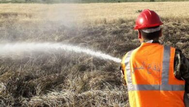 حريق في أعشاب وحقل من القصب وآخر من القمح في التبانة-طرابلس 112112