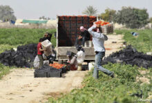 الإعلان عن التعاونية الزراعية سوا في مدينة القاع في البقاع الشمالي 112112