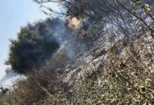 حريق شبّ في اعشاب وبلان في القبة-طرابلس 112112