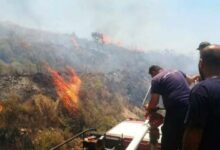 حريق شبّ في أعشاب في عنجر 112112