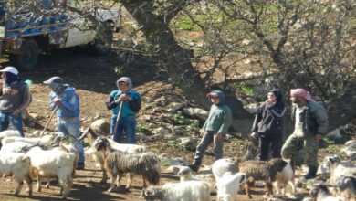 قوة معادية تطلق النار في الهواء لترهيب أحد الرعاة جنوبي شبعا 112112