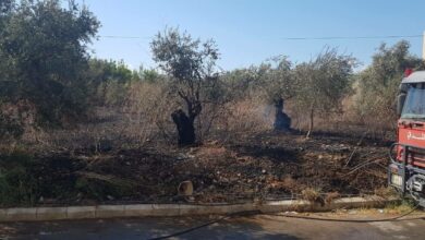 حريق في أعشاب و إطارات وأشجار زيتون في شكا 112112