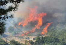 الأمين العام للهيئة العليا للإغاثة: طلبنا المساعدة من قبرص لإطفاء حريق القبيات 112112