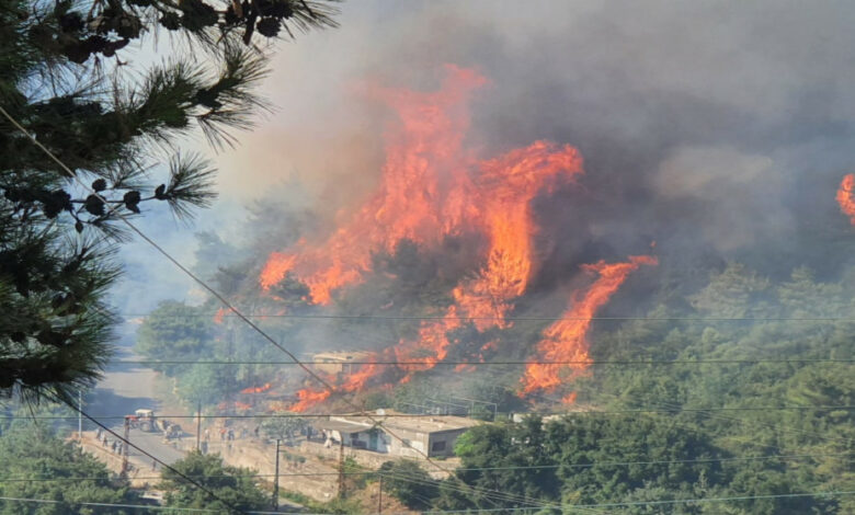 الأمين العام للهيئة العليا للإغاثة: طلبنا المساعدة من قبرص لإطفاء حريق القبيات 112112