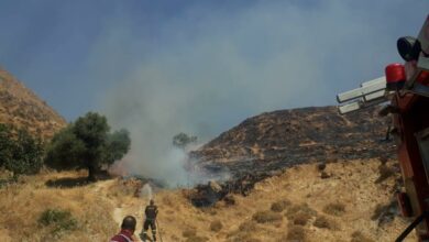 حريق شبّ في أعشاب في قب الياس 112112