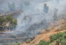 حريق قضى على عدد من أشجار الزيتون في عكّار 112112