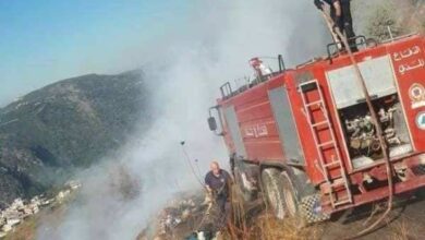 إخماد حريق أعشاب وأشجار مثمرة وحرجية في الفرديس 112112