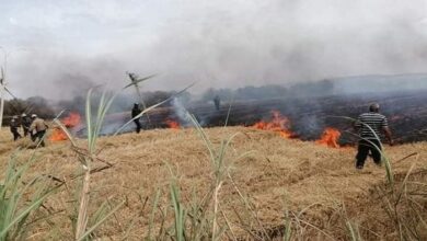 حريق شبّ في حقل من القمح في القرعون 112112