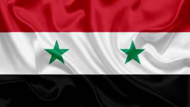 سوريا: بعض الدول لا تزال تتجاهل إرادة السوريين وتواصل ممارساتها العدوانية 112112