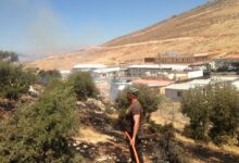 حريق شبّ في حرج من الأعشاب والأشجار الحرجية في مجدل عنجر 112112